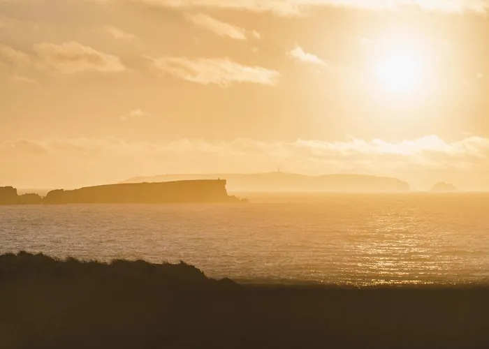 64 - Sunset * フェレル